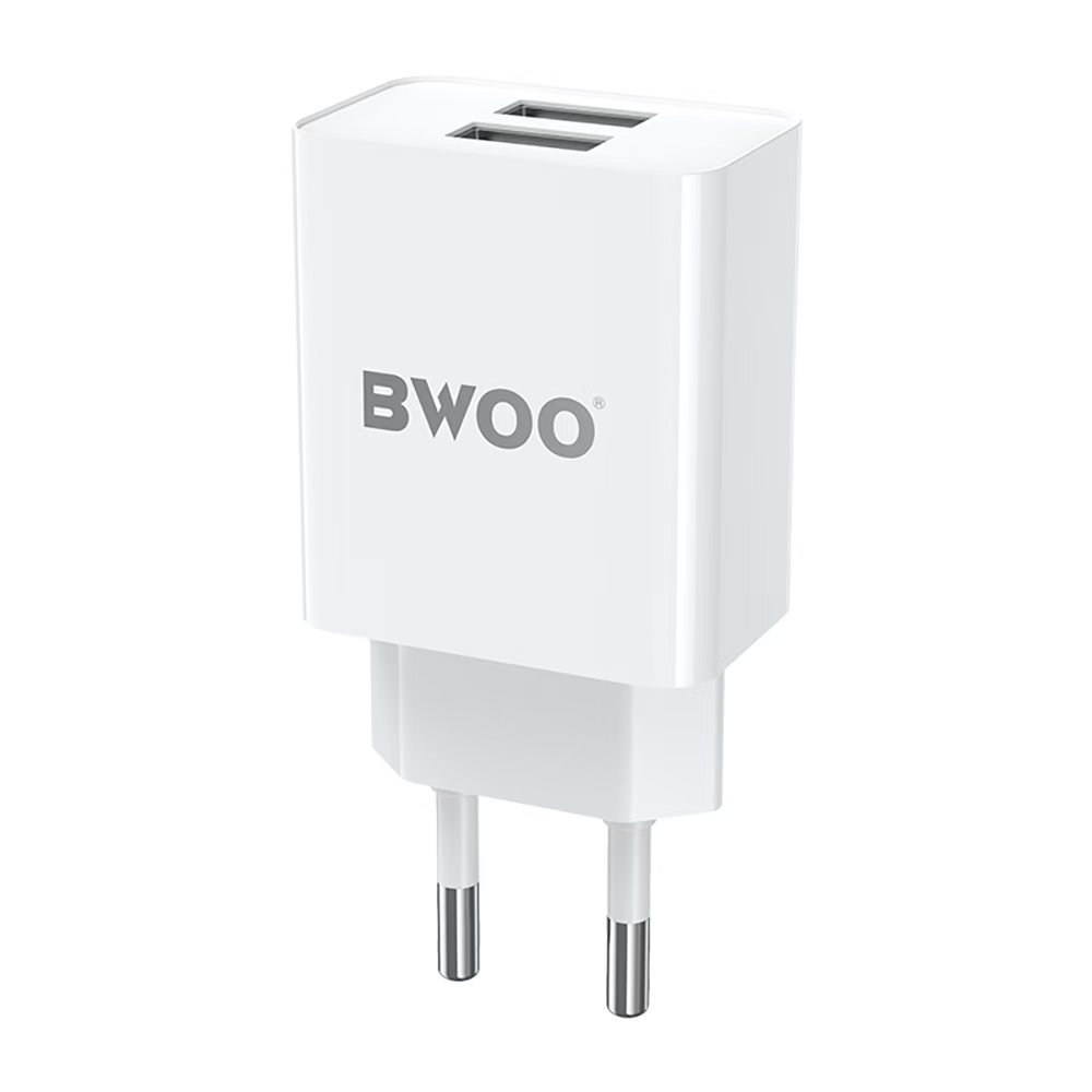 Bwoo Boitier 20W deux USB MICRO USB